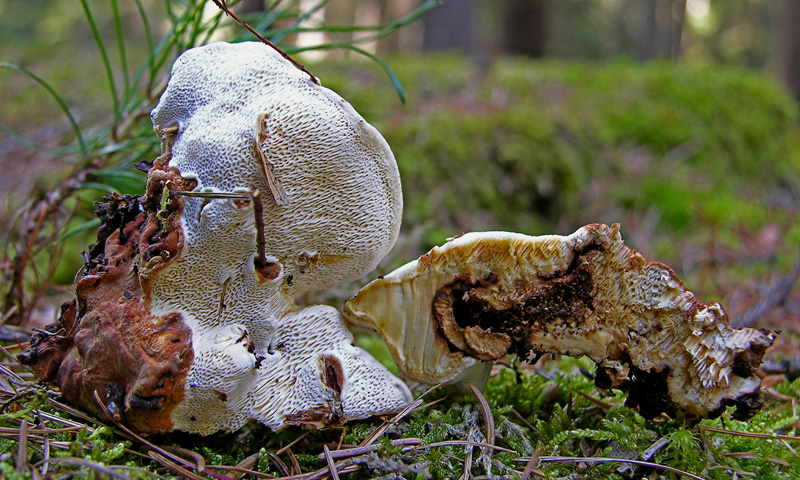 Qualcosa si muove...